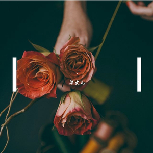 日本一本首视频二区
